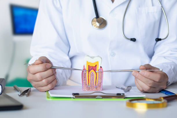 Best Emergency Root Canal Treatment in Valley Stream, NY
